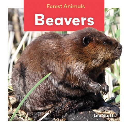 Beavers (Library Binding)