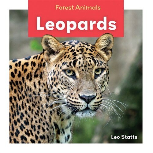 Leopards (Library Binding)