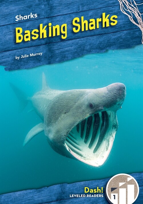 Basking Sharks (Library Binding)