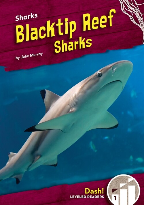 Blacktip Reef Sharks (Library Binding)