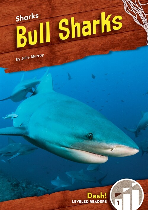 Bull Sharks (Library Binding)
