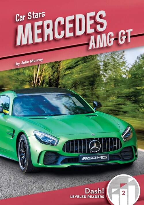 Mercedes Amg GT (Library Binding)