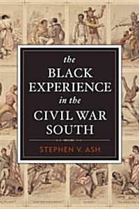 The Black Experience in the Civil War South (Paperback, Reprint)