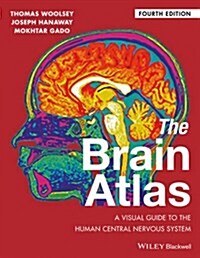 [중고] The Brain Atlas: A Visual Guide to the Human Central Nervous System (Paperback, 4)