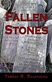 Fallen Stones (Paperback)