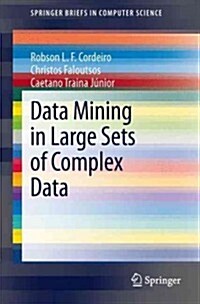 Data Mining in Large Sets of Complex Data (Paperback, 2013)