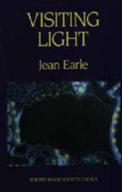 Visiting Light (Paperback)