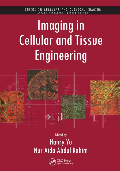 Imaging in Cellular and Tissue Engineering (Paperback)