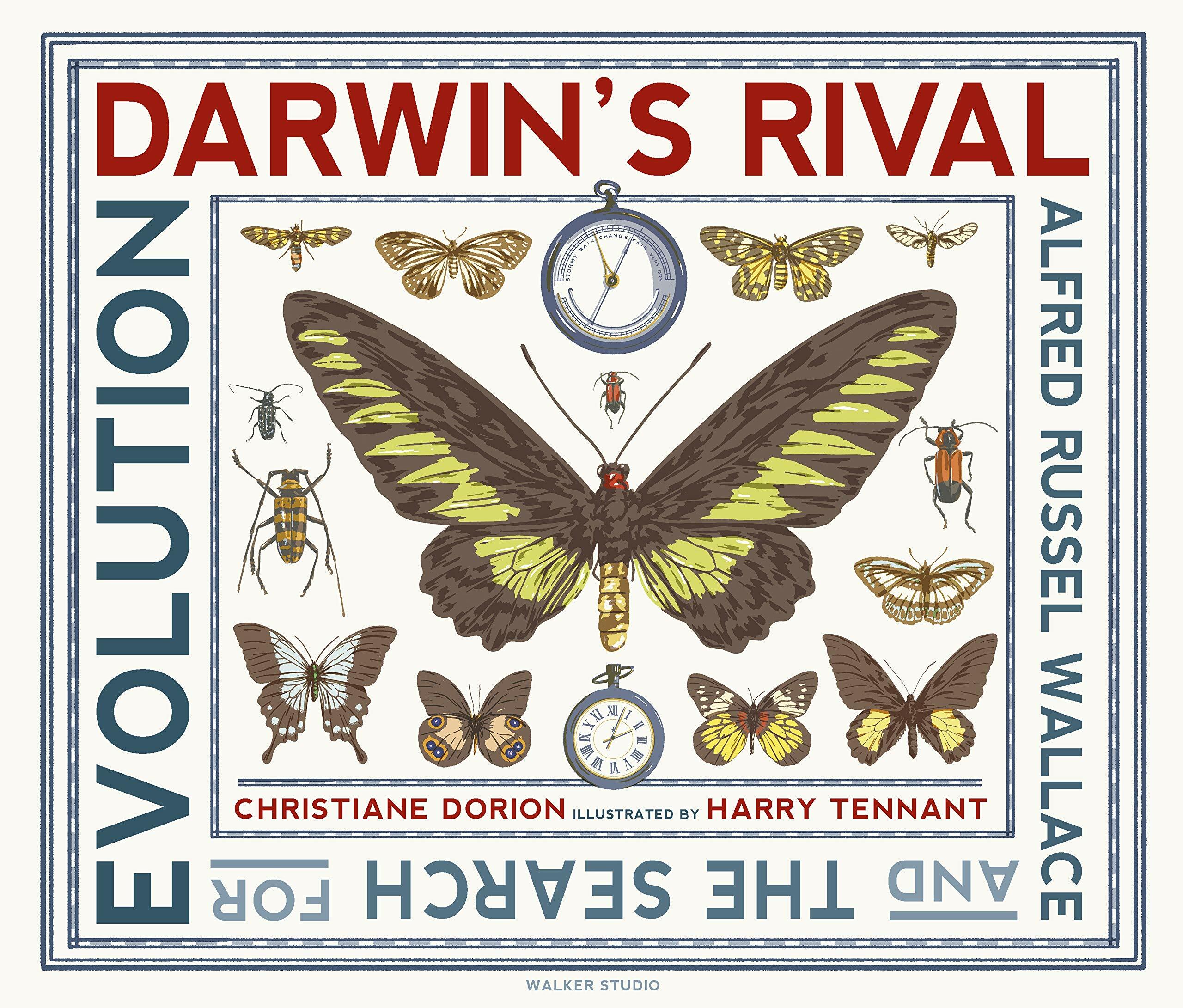 Darwins Rival: Alfred Russel Wallace and the Search for Evolution (Hardcover)