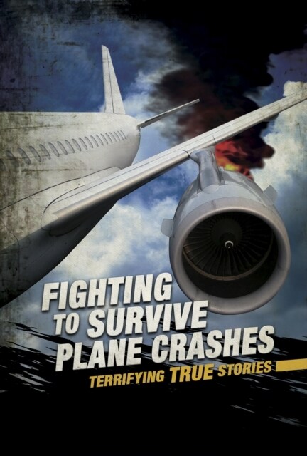 Fighting to Survive Plane Crashes : Terrifying True Stories (Paperback)