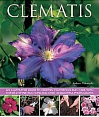 Clematis (Paperback)