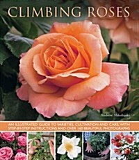 Climbing Roses (Paperback)