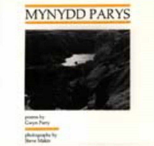 Mynydd Parys (Paperback)