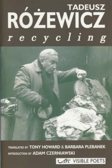 Recycling (Paperback)