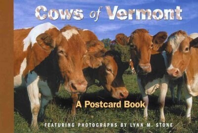 Cows of Vermont (Paperback)