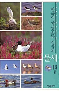[중고] 한국의 야생조류 길잡이 물새