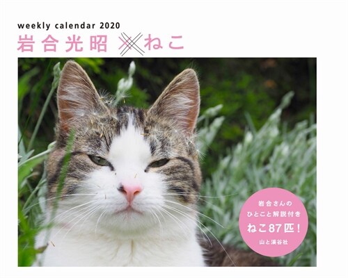 巖合光昭xねこカレンダ- (2020)