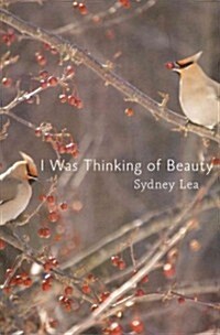 I Was Thinking of Beauty (Paperback)