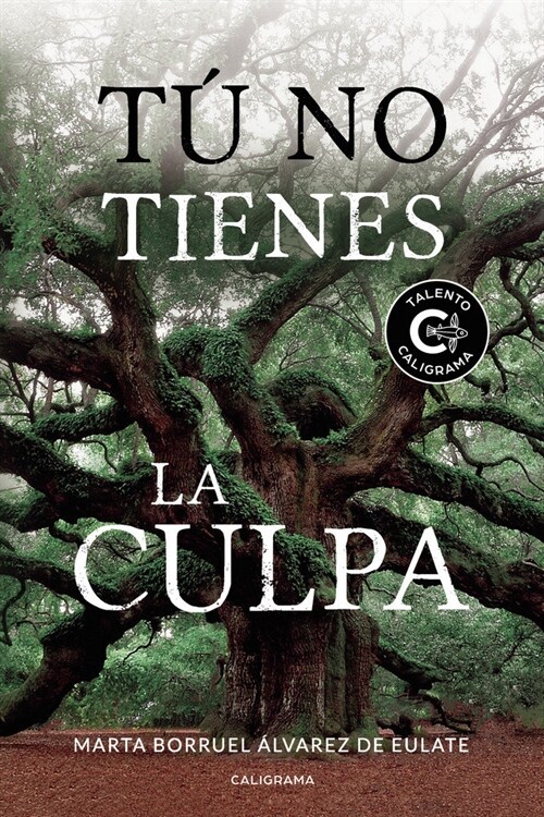 TU NO TIENES LA CULPA (Paperback)