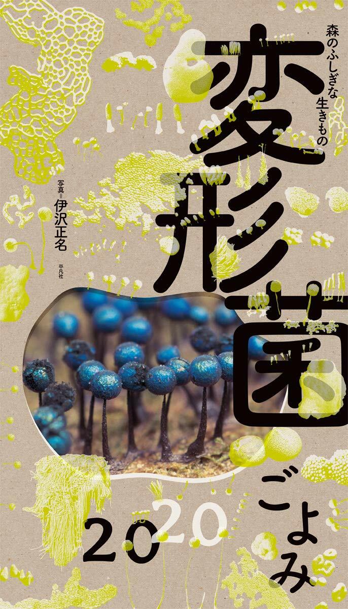 森の不思議な生きもの變形菌ごよみ