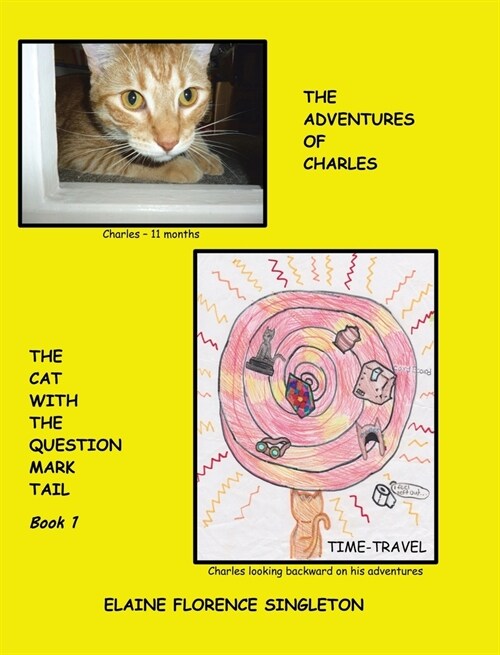 The Adventures of Charles The Cat With The Question Mark Tail (Hardcover)