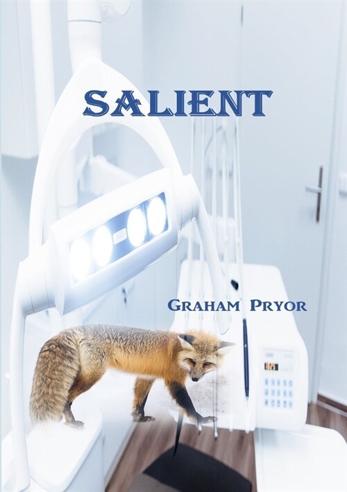 Salient (Paperback)