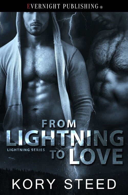 From Lightning to Love (Paperback)