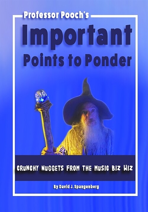 Important Points to Ponder: Crunchy Nuggets from the Music Biz Wiz (Paperback)