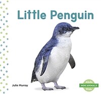 Little Penguin (Paperback)