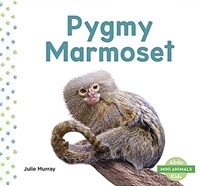 Pygmy Marmoset (Paperback)