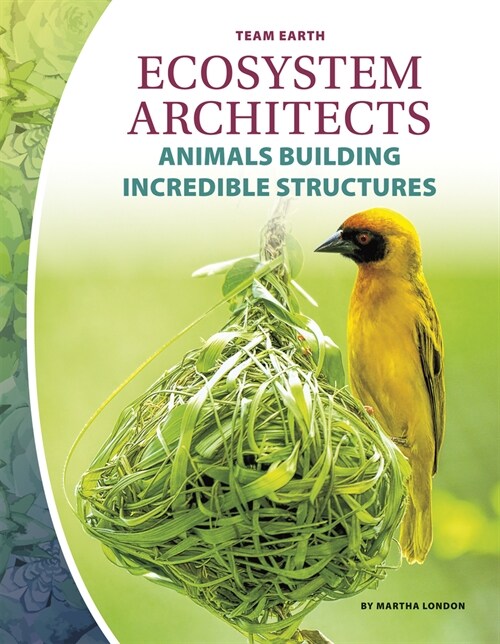 Ecosystem Architects (Paperback)
