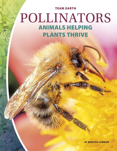 Pollinators (Paperback)