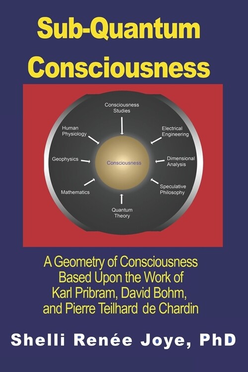Sub-Quantum Consciousness: A Geometry of Consciousness Based Upon the Work of Karl Pribram, David Bohm, and Pierre Teilhard De Chardin (Paperback)