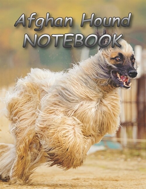 Afghan Hound NOTEBOOK: notebooks and journals 110 pages (8.5x11) (Paperback)