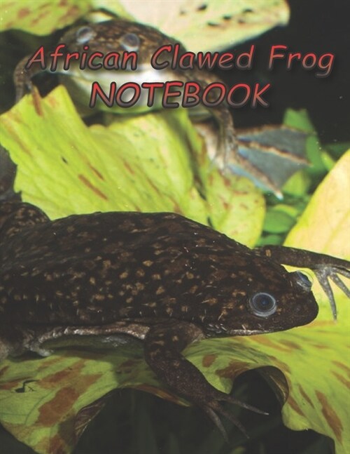 African Clawed Frog NOTEBOOK: notebooks and journals 110 pages (8.5x11) (Paperback)