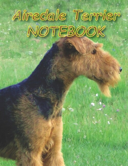 Airedale Terrier NOTEBOOK: notebooks and journals 110 pages (8.5x11) (Paperback)