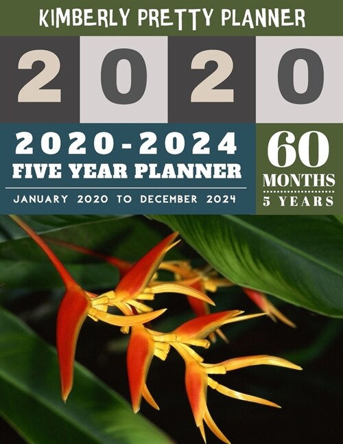 5 Year Planner 2020-2024: 2020-2024 yearly and monthly planner to plan your short to long term goal with username and password record page - wil (Paperback)