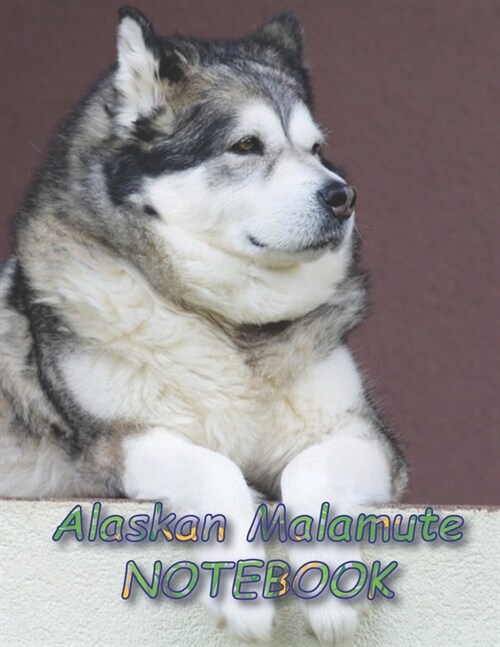 Alaskan Malamute NOTEBOOK: notebooks and journals 110 pages (8.5x11) (Paperback)