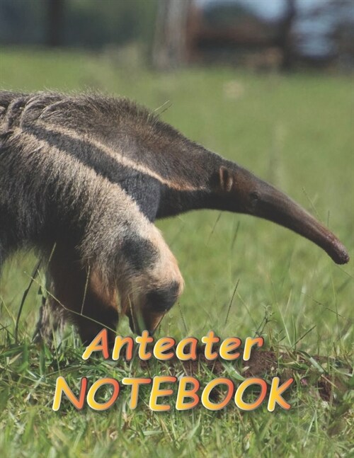 Anteater NOTEBOOK: notebooks and journals 110 pages (8.5x11) (Paperback)