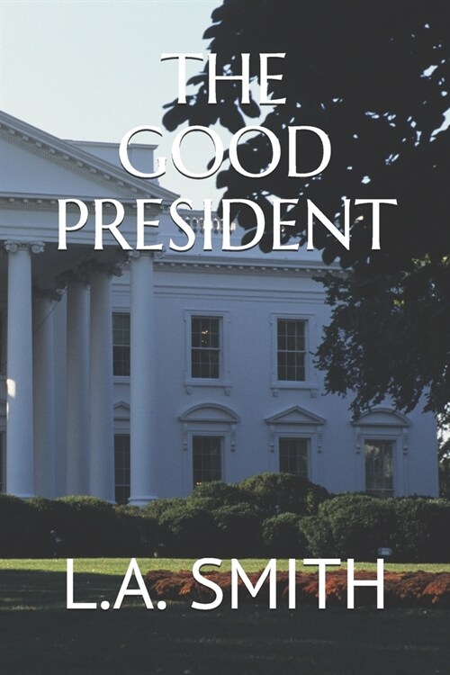 The Good President (Paperback)