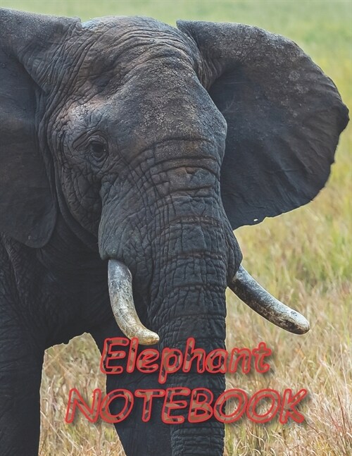 Elephant NOTEBOOK: Notebooks and Journals 110 pages (8.5x11) (Paperback)