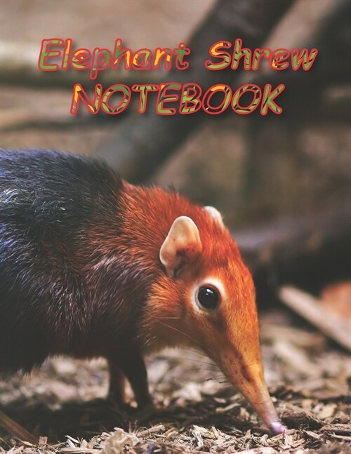Elephant Shrew NOTEBOOK: Notebooks and Journals 110 pages (8.5x11) (Paperback)