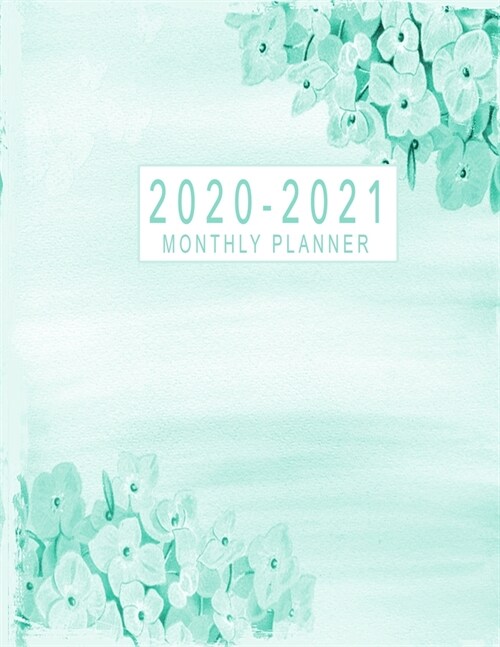 2020-2021 Monthly Planner: 2020-2021 Two Year Planner Monthly Jan 2020 - Dec 2021 2 Year Monthly Planner Calendar Schedule Organizer January 2020 (Paperback)