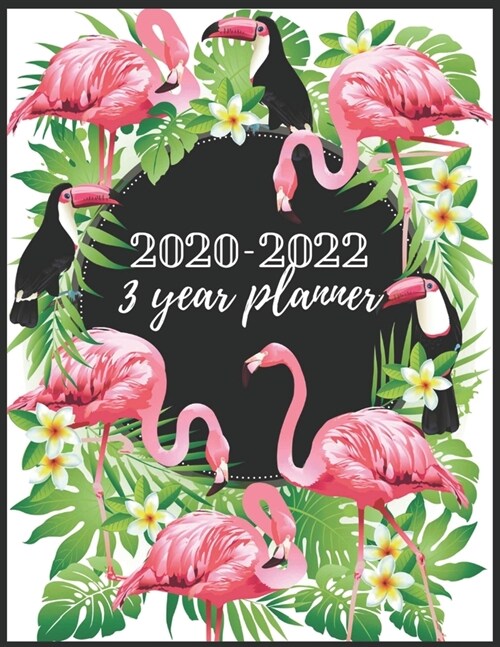 3 year planner 2020-2022: Flamingo Monthly Planner: 3 Year Planner - 2020-2022 3 Year Monthly Planner 8.5 x 11 - Planners - Planner 2020-2022 - (Paperback)