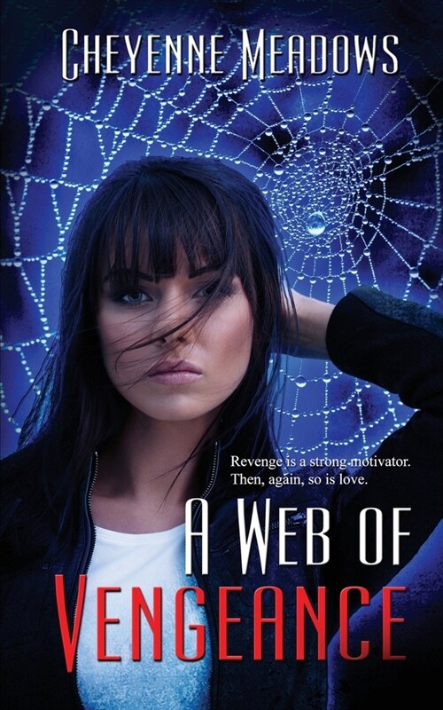 A Web of Vengeance (Paperback)