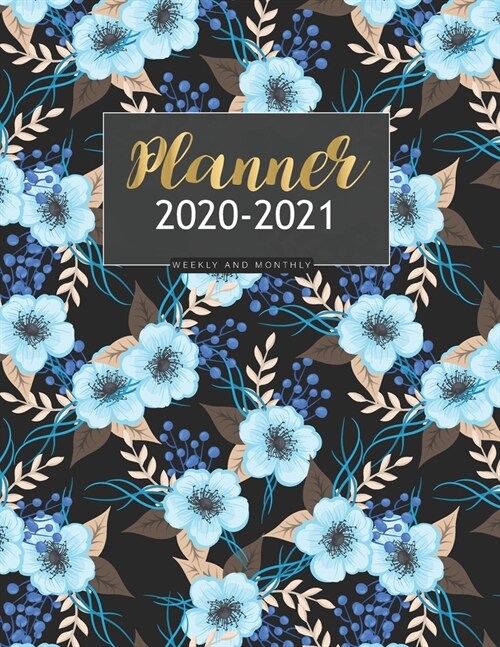 Weekly and Monthly Planner 2020 2021: Two year Planner 2020- 2021 Monthly Calendar schedule time appointment Agenda logbook personal Organizer To Do L (Paperback)