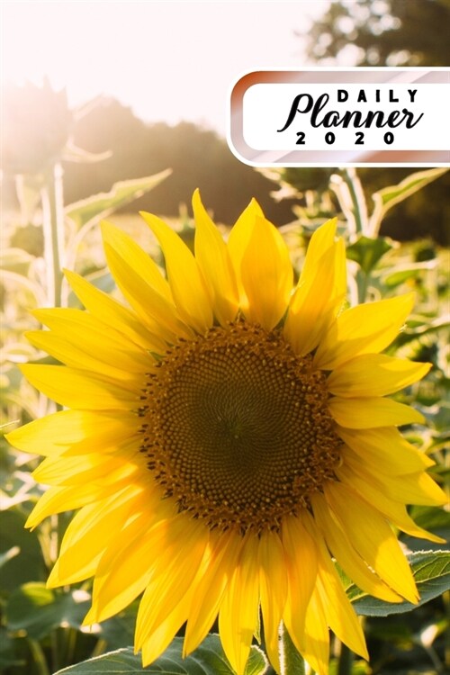 Daily Planner 2020: Yellow Sunflower Sunshine Positive 52 Weeks 365 Day Daily Planner for Year 2020 6x9 Everyday Organizer Monday to Sun (Paperback)
