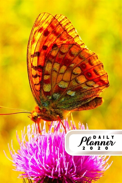Daily Planner 2020: Butterfly Enthusiast 52 Weeks 365 Day Daily Planner for Year 2020 6x9 Everyday Organizer Monday to Sunday Monarch Bu (Paperback)