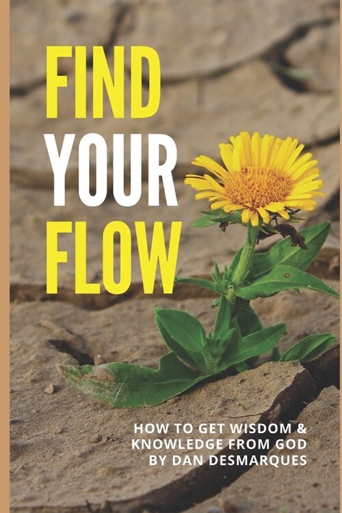 Find Your Flow: How to Get Wisdom and Knowledge from God (Paperback)
