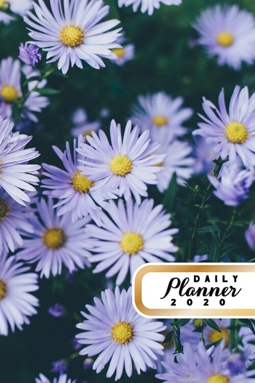 Daily Planner 2020: Purple Daisy Flowers 52 Weeks 365 Day Daily Planner for Year 2020 6x9 Everyday Organizer Monday to Sunday Spring Pla (Paperback)